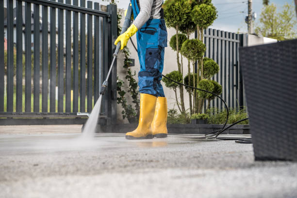 Best Driveway Pressure Washing  in Iron River, MI